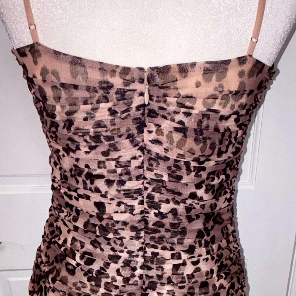 Leopard Mesh Dress - Picture 6 of 9